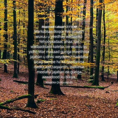 Picture 04 - Boqorradii Labaad 12:7 SOM - Markaasaa Boqor Yehoo'aash wuxuu u yeedhay - Bible Verse Picture