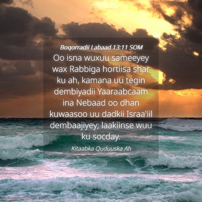 Picture 04 - Boqorradii Labaad 13:11 SOM - Oo isna wuxuu sameeyey wax Rabbiga hortiisa shar - Bible Verse Picture