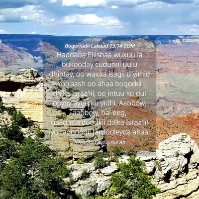 Picture 04 - Boqorradii Labaad 13:14 SOM - Haddaba Eliishaa wuxuu la bukooday cudurkii uu u - Bible Verse Picture