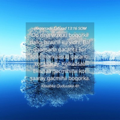 Picture 04 - Boqorradii Labaad 13:16 SOM - Oo isna wuxuu boqorkii dalka Israa'iil ku yidhi, - Bible Verse Picture