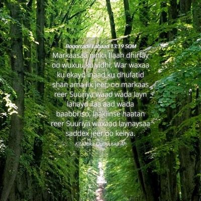 Picture 04 - Boqorradii Labaad 13:19 SOM - Markaasaa ninkii Ilaah dhirfay oo wuxuu ku yidhi, - Bible Verse Picture