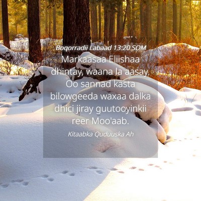 Picture 04 - Boqorradii Labaad 13:20 SOM - Markaasaa Eliishaa dhintay, waana la aasay. Oo - Bible Verse Picture