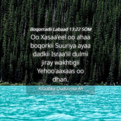 Picture 04 - Boqorradii Labaad 13:22 SOM - Oo Xasaa'eel oo ahaa boqorkii Suuriya ayaa dadkii - Bible Verse Picture