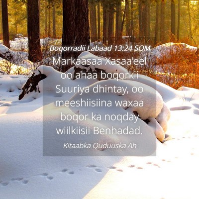 Picture 04 - Boqorradii Labaad 13:24 SOM - Markaasaa Xasaa'eel oo ahaa boqorkii Suuriya - Bible Verse Picture