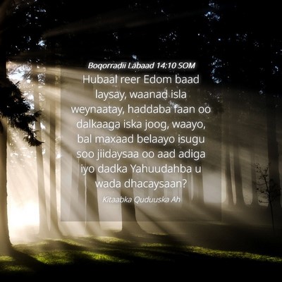 Picture 04 - Boqorradii Labaad 14:10 SOM - Hubaal reer Edom baad laysay, waanad isla - Bible Verse Picture