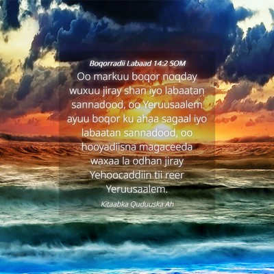 Picture 04 - Boqorradii Labaad 14:2 SOM - Oo markuu boqor noqday wuxuu jiray shan iyo - Bible Verse Picture