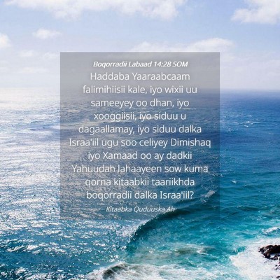 Picture 04 - Boqorradii Labaad 14:28 SOM - Haddaba Yaaraabcaam falimihiisii kale, iyo wixii - Bible Verse Picture