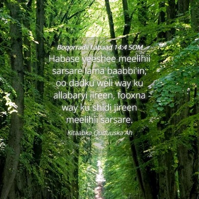 Picture 04 - Boqorradii Labaad 14:4 SOM - Habase yeeshee meelihii sarsare lama baabbi'in; - Bible Verse Picture