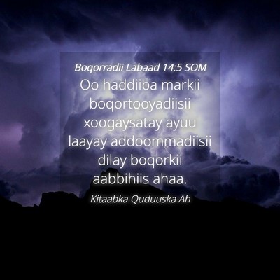 Picture 04 - Boqorradii Labaad 14:5 SOM - Oo haddiiba markii boqortooyadiisii xoogaysatay - Bible Verse Picture