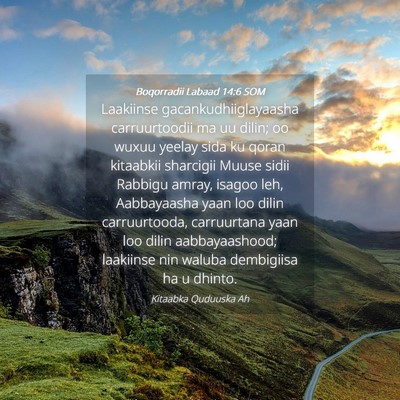 Picture 04 - Boqorradii Labaad 14:6 SOM - Laakiinse gacankudhiiglayaasha carruurtoodii ma - Bible Verse Picture