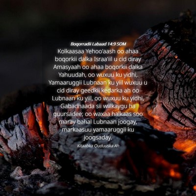 Picture 04 - Boqorradii Labaad 14:9 SOM - Kolkaasaa Yehoo'aash oo ahaa boqorkii dalka - Bible Verse Picture