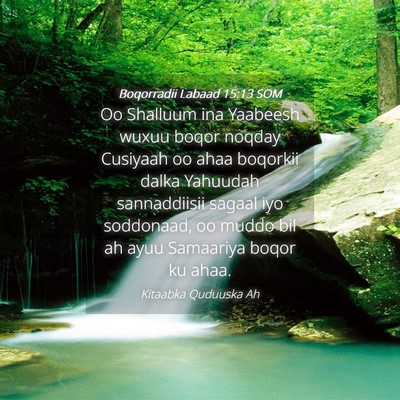 Picture 04 - Boqorradii Labaad 15:13 SOM - Oo Shalluum ina Yaabeesh wuxuu boqor noqday - Bible Verse Picture