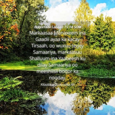 Picture 04 - Boqorradii Labaad 15:14 SOM - Markaasaa Menaxeem ina Gaadii ayaa ka kacay - Bible Verse Picture