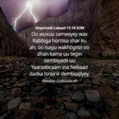 Picture 04 - Boqorradii Labaad 15:18 SOM - Oo wuxuu sameeyey wax Rabbiga hortiisa shar ku - Bible Verse Picture