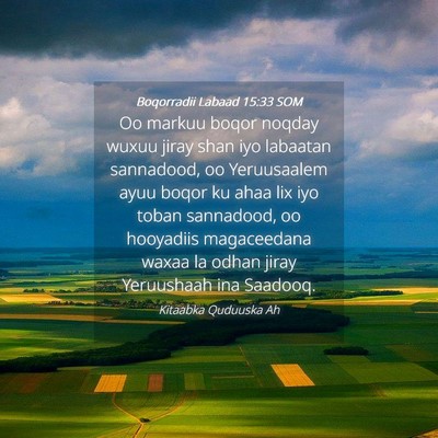 Picture 04 - Boqorradii Labaad 15:33 SOM - Oo markuu boqor noqday wuxuu jiray shan iyo - Bible Verse Picture