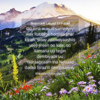 Picture 04 - Boqorradii Labaad 15:9 SOM - Oo isna wuxuu sameeyey wax Rabbiga hortiisa shar - Bible Verse Picture