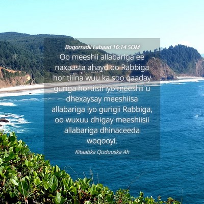 Picture 04 - Boqorradii Labaad 16:14 SOM - Oo meeshii allabariga ee naxaasta ahayd oo - Bible Verse Picture
