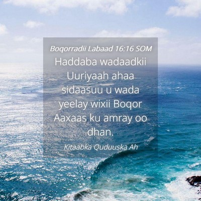 Picture 04 - Boqorradii Labaad 16:16 SOM - Haddaba wadaadkii Uuriyaah ahaa sidaasuu u wada - Bible Verse Picture