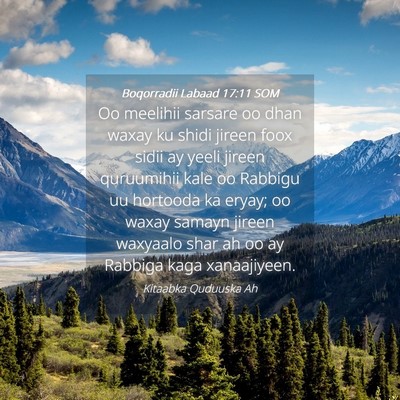 Picture 04 - Boqorradii Labaad 17:11 SOM - Oo meelihii sarsare oo dhan waxay ku shidi jireen - Bible Verse Picture