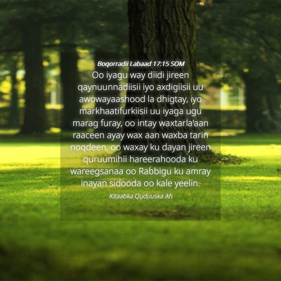 Picture 04 - Boqorradii Labaad 17:15 SOM - Oo iyagu way diidi jireen qaynuunnadiisii iyo - Bible Verse Picture