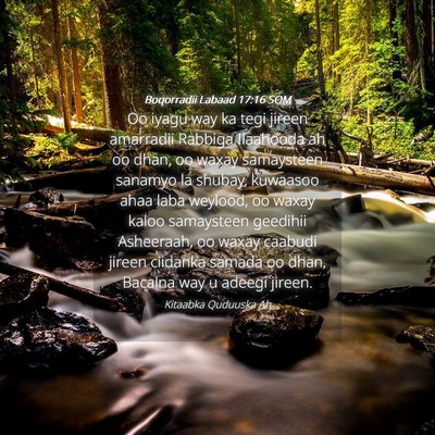 Picture 04 - Boqorradii Labaad 17:16 SOM - Oo iyagu way ka tegi jireen amarradii Rabbiga - Bible Verse Picture