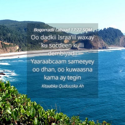 Picture 04 - Boqorradii Labaad 17:22 SOM - Oo dadkii Israa'iil waxay ku socdeen kulli - Bible Verse Picture