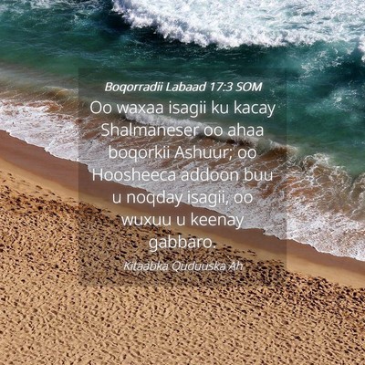 Picture 04 - Boqorradii Labaad 17:3 SOM - Oo waxaa isagii ku kacay Shalmaneser oo ahaa - Bible Verse Picture