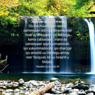 Picture 04 - Boqorradii Labaad 17:34 SOM - Oo ilaa maantadan waxay sameeyaan sidii - Bible Verse Picture