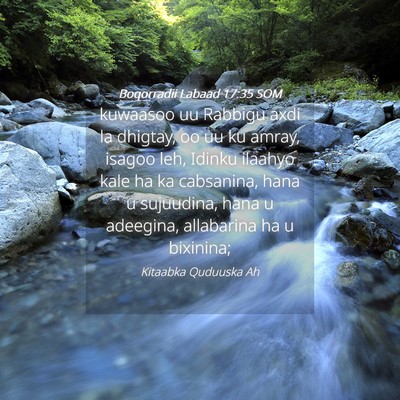 Picture 04 - Boqorradii Labaad 17:35 SOM - kuwaasoo uu Rabbigu axdi la dhigtay, oo uu ku - Bible Verse Picture