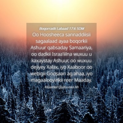 Picture 04 - Boqorradii Labaad 17:6 SOM - Oo Hoosheeca sannaddiisii sagaalaad ayaa boqorkii - Bible Verse Picture