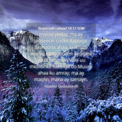 Picture 04 - Boqorradii Labaad 18:12 SOM - maxaa yeelay, ma ay addeecin codkii Rabbiga - Bible Verse Picture