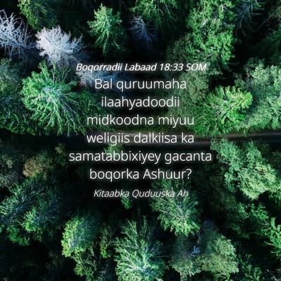 Picture 04 - Boqorradii Labaad 18:33 SOM - Bal quruumaha ilaahyadoodii midkoodna miyuu - Bible Verse Picture