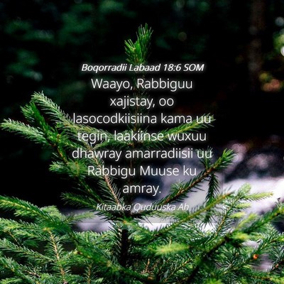 Picture 04 - Boqorradii Labaad 18:6 SOM - Waayo, Rabbiguu xajistay, oo lasocodkiisiina kama - Bible Verse Picture