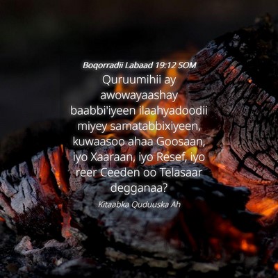 Picture 04 - Boqorradii Labaad 19:12 SOM - Quruumihii ay awowayaashay baabbi'iyeen - Bible Verse Picture