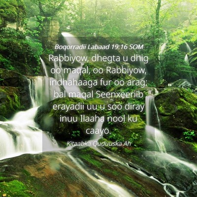 Picture 04 - Boqorradii Labaad 19:16 SOM - Rabbiyow, dhegta u dhig oo maqal, oo Rabbiyow, - Bible Verse Picture
