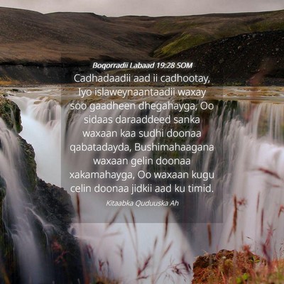 Picture 04 - Boqorradii Labaad 19:28 SOM - Cadhadaadii aad ii cadhootay, Iyo - Bible Verse Picture
