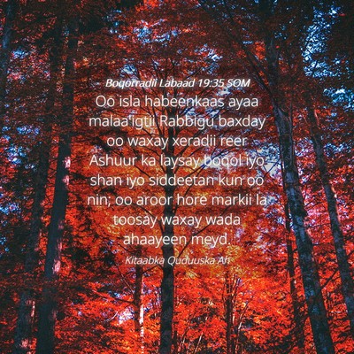 Picture 04 - Boqorradii Labaad 19:35 SOM - Oo isla habeenkaas ayaa malaa'igtii Rabbigu - Bible Verse Picture