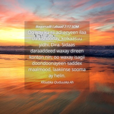 Picture 04 - Boqorradii Labaad 2:17 SOM - Oo way ku sii adkeeyeen ilaa uu xishooday, - Bible Verse Picture