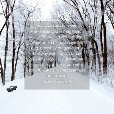 Picture 04 - Boqorradii Labaad 2:19 SOM - Markaasaa dadkii magaaladu waxay Eliishaa ku - Bible Verse Picture
