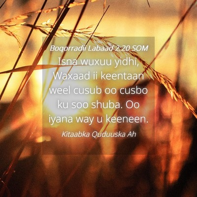 Picture 04 - Boqorradii Labaad 2:20 SOM - Isna wuxuu yidhi, Waxaad ii keentaan weel cusub - Bible Verse Picture