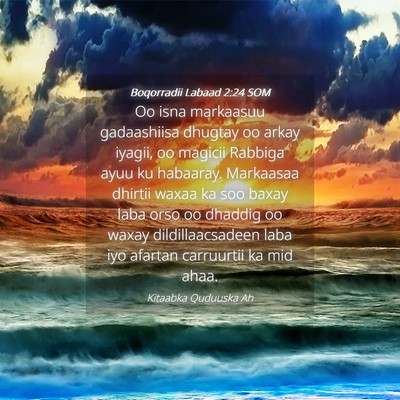 Picture 04 - Boqorradii Labaad 2:24 SOM - Oo isna markaasuu gadaashiisa dhugtay oo arkay - Bible Verse Picture