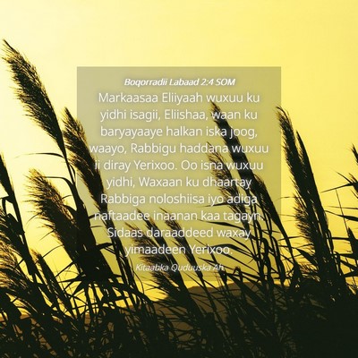 Picture 04 - Boqorradii Labaad 2:4 SOM - Markaasaa Eliiyaah wuxuu ku yidhi isagii, - Bible Verse Picture