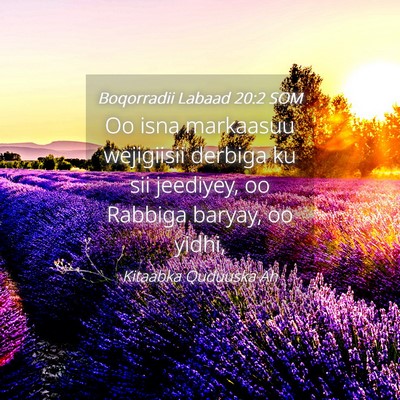 Picture 04 - Boqorradii Labaad 20:2 SOM - Oo isna markaasuu wejigiisii derbiga ku sii - Bible Verse Picture