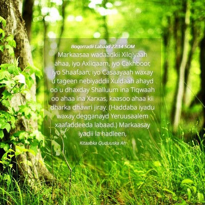 Picture 04 - Boqorradii Labaad 22:14 SOM - Markaasaa wadaadkii Xilqiyaah ahaa, iyo Axiiqaam, - Bible Verse Picture