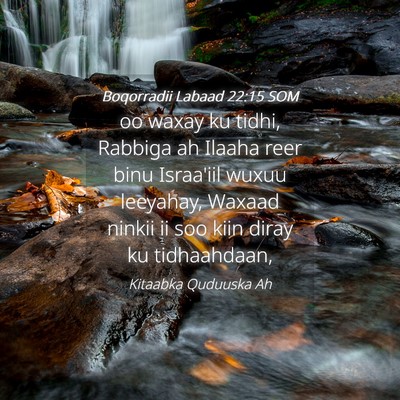 Picture 04 - Boqorradii Labaad 22:15 SOM - oo waxay ku tidhi, Rabbiga ah Ilaaha reer binu - Bible Verse Picture