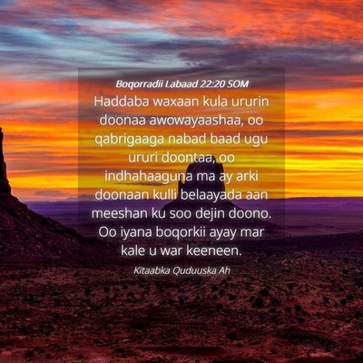 Picture 04 - Boqorradii Labaad 22:20 SOM - Haddaba waxaan kula ururin doonaa awowayaashaa, - Bible Verse Picture