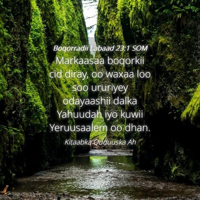 Picture 04 - Boqorradii Labaad 23:1 SOM - Markaasaa boqorkii cid diray, oo waxaa loo soo - Bible Verse Picture