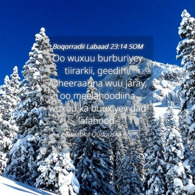 Picture 04 - Boqorradii Labaad 23:14 SOM - Oo wuxuu burburiyey tiirarkii, geedihii - Bible Verse Picture
