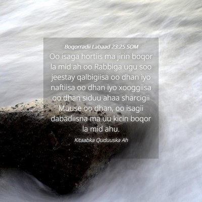 Picture 04 - Boqorradii Labaad 23:25 SOM - Oo isaga hortiis ma jirin boqor la mid ah oo - Bible Verse Picture