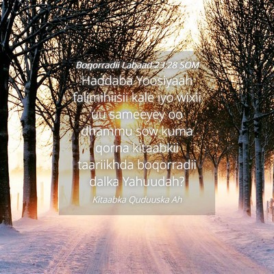 Picture 04 - Boqorradii Labaad 23:28 SOM - Haddaba Yoosiyaah falimihiisii kale iyo wixii uu - Bible Verse Picture